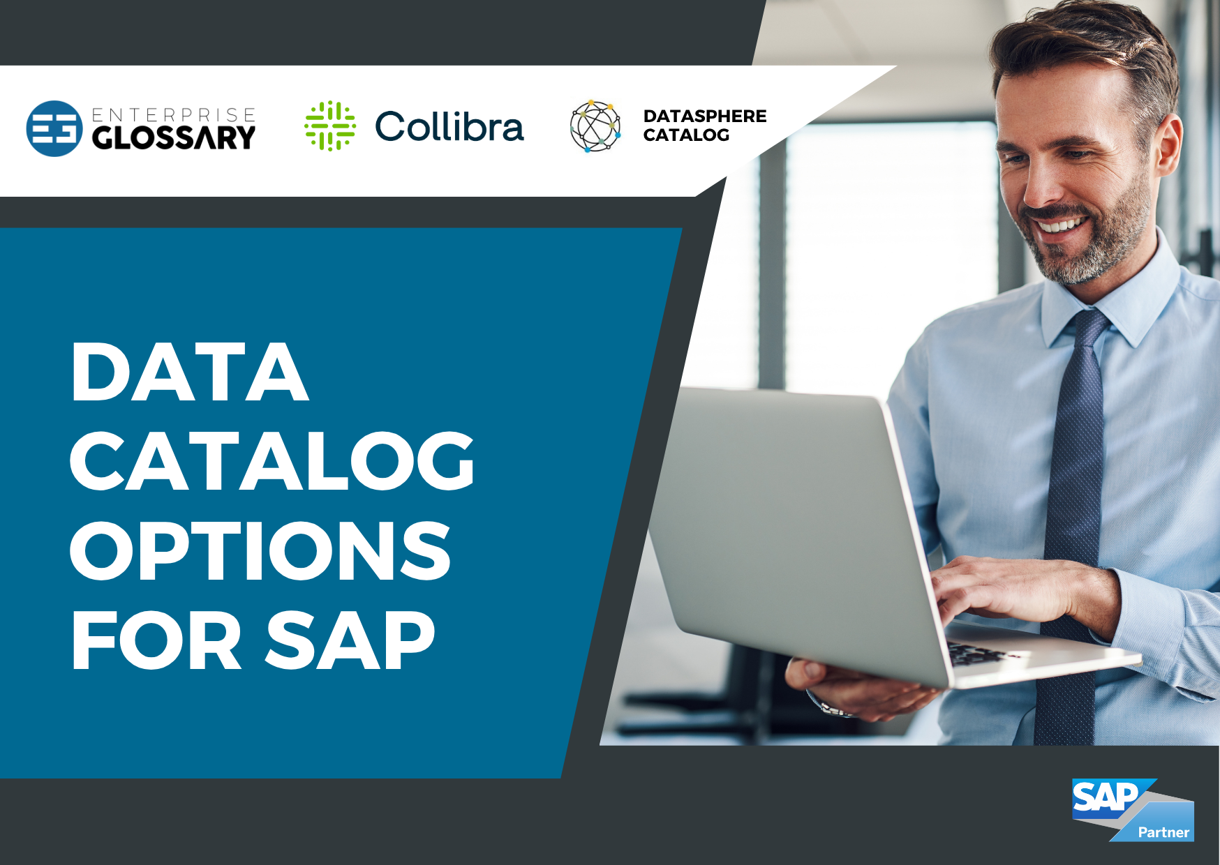 SAP Datenkatalogisierung: Data Catalog Optionen